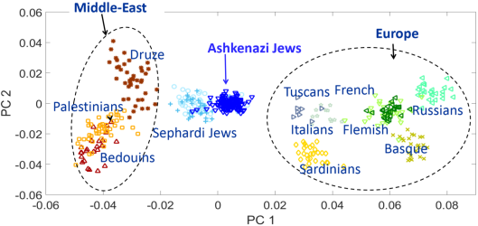 In terms of autosomal DNA, Ashkenazi Jews and Sephardic Jews cluster in between other Middle Easterners and southern Europeans. This is a reflecion of the fact that their Semitic male ancestors interbred with native women in southern Europe.