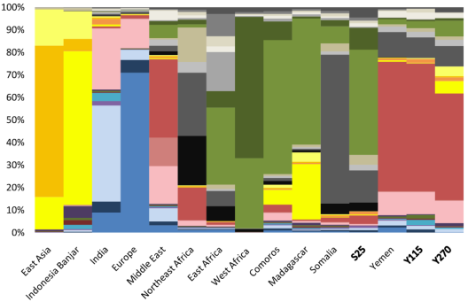 Admixture analysis of a Bajuni individual of Swahili type from Somalia. The person (S25) was found to mainly harbor Bantu-related ancestry (light green component) with minor West Eurasian admixture, like other Swahili speakers from the Comoros and East Africa. However, unlike the Comorian Swahilis, the West Eurasian admixture borne by the Bajuni individual and the other East Africa Swahili samples is primarily associated with Cushitic-speaking populations of the Horn region (grey component) rather than Arabs (red component) (Brucato et al. (2019)).
