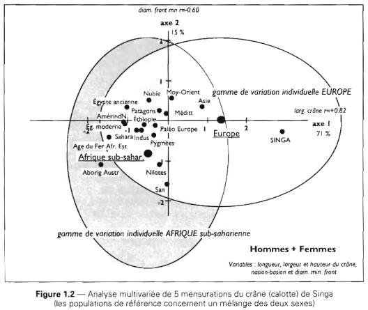 Craniometric analysis of various global populations. The Ethiopia sample clusters in between the Paleo Europe and modern Egypt samples (Froment (1998)).