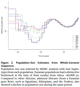 MSMC analysis inferring the prehistoric population size of the Toubou, Afro-Asiatic-speaking groups, and other global samples. According to the scientists, "Eurasian populations had a distinctive bottleneck at the time of their exodus from Africa ~60,000 ya. Compared to other Africans, admixed Africans (from a Eurasian gene flow), such as Egyptians, Ethiopians, and the Toubou, also showed a decline in population size during the same period" (Haber et al. (2016)).