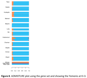 Admixture analysis of Yemeni individuals. At K=3, the Yemeni samples from the Marib governorate have the most indigenous Near Eastern (Natufian) ancestry of all modern populations, with little-to-no extraneous influences (Haber et al. (2019)).