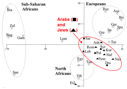 Y-DNA affinities of populations in the Middle East, Africa and Europe. Ashkenazi Jews cluster with Syrians, Palestinians, Lebanese and other Arabic-speaking groups due to their shared Semitic ancestral origins (Hammer et al. (2000)).