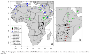 Ethnolinguistic distribution of maternal lineages in the Horn, Nile Valley, Sahara, Maghreb, Great Lakes and the Arabian peninsula (Boattini et al. (2013)).
