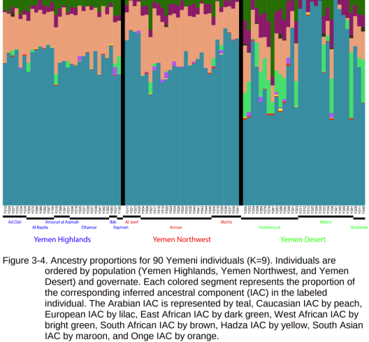 Genome analysis of Semitic-speaking Yemeni individuals. The Mahra/Mehri samples generally have the most Arabian ancestry (teal); four of the examined Mahra individuals almost entirely belong to that Natufian-related ancestral component. This supports the long-held belief that the Mahra represent the Semites in their "purest" form. Conversely, Yemenis from the other coastal governates of Hadramout and Shabwah have the most foreign admixture. The latter primarily consists of Sub-Saharan African elements derived from Niger-Congo-speaking West African (light green) and Nilo-Saharan-speaking East African (dark green) sources, as well as Caucasus-related admixture (peach). Additionally, the Hadramis have the most European-related admixture (lilac). This is in agreement with the theory that the ancient Himyarites of Hadramout and the adjacent southwestern provinces bore substantial Mediterranean or Sardinian-like ancestry, whereas the ancient Sabaeans in the northern territories had significant Caucasus affinities (see Punt: an ancient civilization rediscovered). Correspondingly, Yemenis from the highlands and northwest have the most Caucasus-related ancestry, except for individuals in the Marib and Al Jawb governates, who have retained more of the Semites' original Natufian-related ancestry (Vyas (2017).
