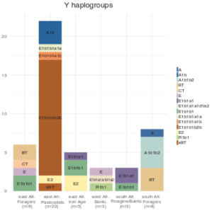 Y-DNA haplogroups of ancient Cushitic individuals of the Pastoral Neolithic cultural complex. The sampled early Neolithic pastoralist carries the E2 or E-M75 paternal haplogroup, whereas the later Neolithic pastoralists mostly belong to various subclades of the E1b1b haplogroup; primarily M293 (Wang et al. (2020), Supplementary Material).