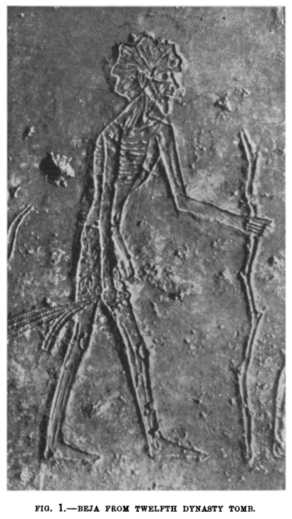 Ancient Cushitic man depicted on a Twelfth Dynasty Egyptian mural (Seligmann (1913)). Note the figure's lithe build, fine features, facial orthognathism and loose wavy hair. Skeletal analysis of ancient individuals excavated from four Pan-Grave cemeteries at Sayala (burial complexes referred to as CI-III and N) indicates that most of these specimens had a similarly "Europoid" or "Caucasoid" physiognomy (84.5%) (Strouhal and Jungwirth (1979)).