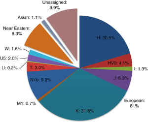 mtDNA haplogroups carried by Ashkenazi Jews. Most Ashkenazi Jewish individuals bear maternal clades of European affiliation (~81%). This is consistent with the observation that their Middle Eastern Semitic male ancestors interbred with native women in southern Europe (Costa et al. (2013)).